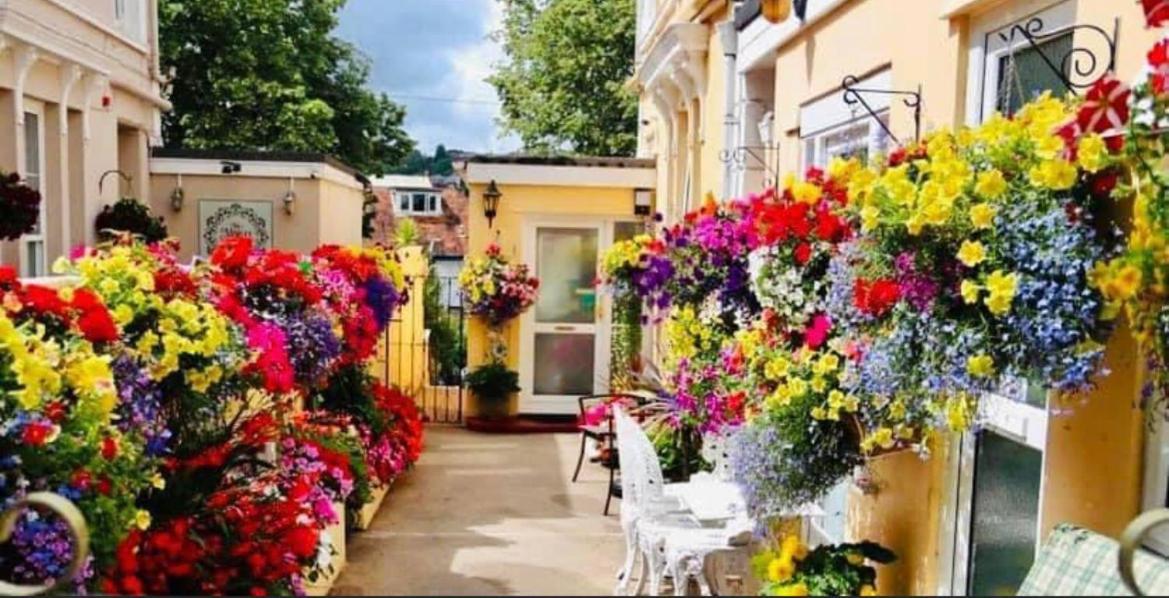 Crowndale Torquay - Exclusively For Adults Bed & Breakfast Exterior photo